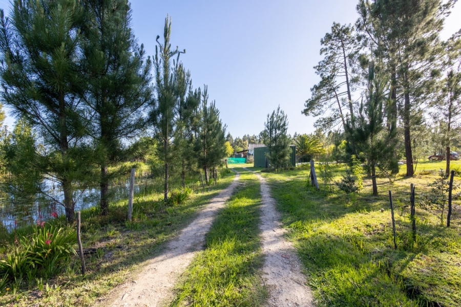  Bedroom Property for Sale in Plettenberg Bay Rural Western Cape